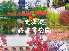 -西海子公园