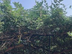-烟台山景区