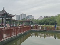 -莲花池公园