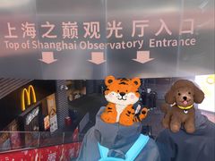-上海中心大厦