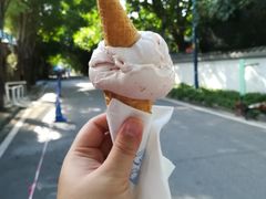 -歎雪糕低糖低脂Gelato冰淇淋