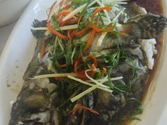 -众味海鲜大排档·活海鲜·潮汕味(南澳店)