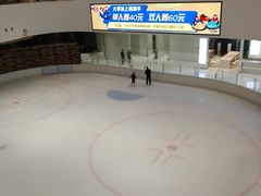 -TheRink大零溜冰场(IFS国金中心店)