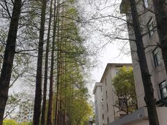 -安庆师范大学(菱湖校区)