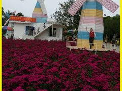 android_upload_pic-松山湖梦幻百花洲