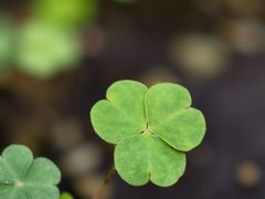 -北京植物园-展览温室