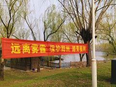 -黄河富景生态世界