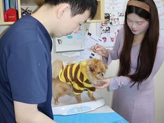 -美联众合爱康动物医院•复杂内科•肿瘤科•牙科•腔镜诊疗中心