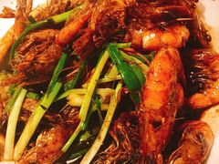 -老头儿油爆虾(星光一期店)