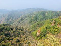 -天女山森林公园
