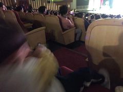 -辽宁大剧院