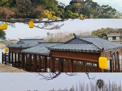 -江心屿景区