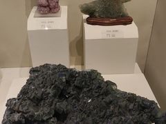 -天津自然博物馆