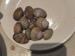 -钱小奴创意自助餐厅·原切谷饲安格斯畅吃(宁波慈溪爱琴海店)