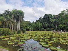 -中国科学院西双版纳热带植物园