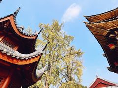 -上海东林寺(金山区)