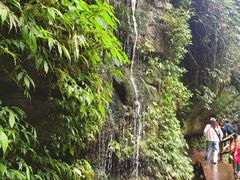 -中国大熊猫保护研究中心雅安碧峰峡基地