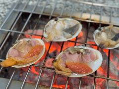 -震海贝烤贝·民俗特色店(延吉总店)