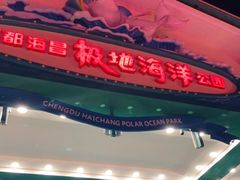-海合安成都极地海洋公园