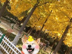 -石家庄市动物园