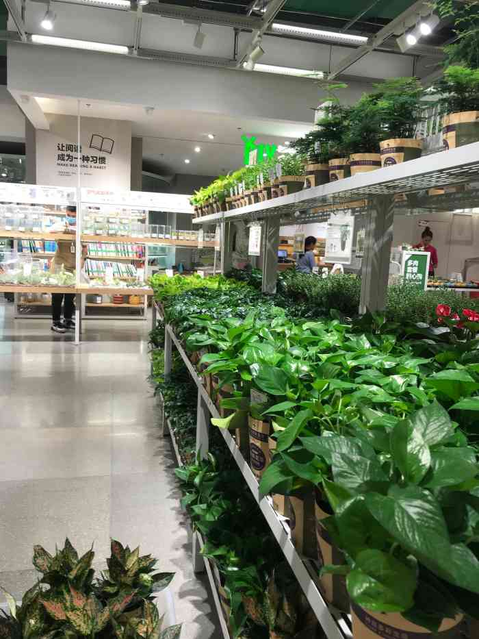 鹿岛园艺(朝天门来福士店)-"现在位置越来越好找啦,直接坐轻轨到朝天