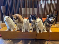 -长白山万达锦华套房酒店