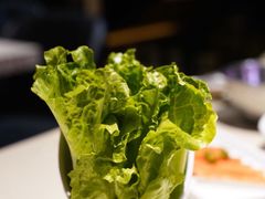 -浩爷羊蝎子火锅(望京店)