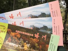-塔川景区