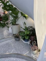 -MINX名珂斯·烫染形象设计