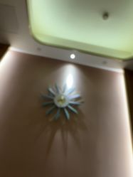 -雅曼妮spa美容养生