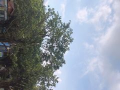 -广州长隆野生动物世界