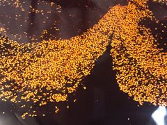 -东方宫中国兰州牛肉拉面(新起街店)