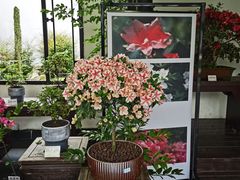 -杭州植物园