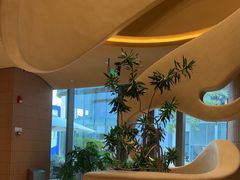 -Bco豆库(苏州中心店)