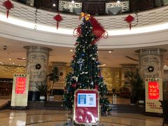 -中国饭店-餐厅