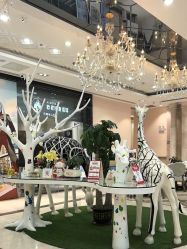 点击看大图 -同远QQBABY亲子摄影(北京路店)