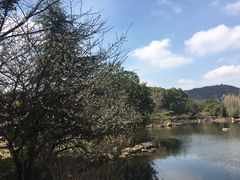 -白马涧龙池景区