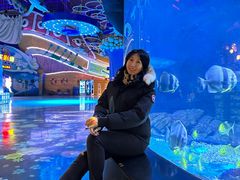 -烟台海昌鲸鲨海洋公园