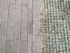 -眉州东坡(北苑华贸店)