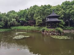 -天目湖山水园