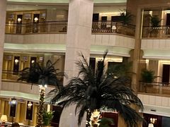 -上海大酒店-自助餐餐厅