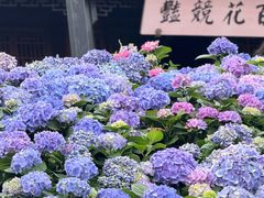-苏州上方山国家森林公园