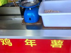 -浙江越秀外国语学院