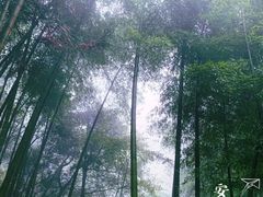 -藏龙百瀑风景区