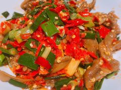 鸭掌筋-壹盏灯(惠农店)