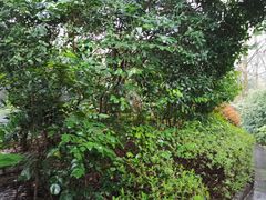 -天目湖御水温泉·度假酒店