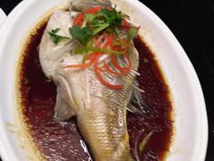 干烧武昌鱼-好妈王饺子(滂江街店)