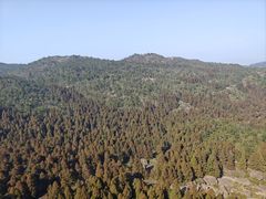 -玉苍山国家森林公园