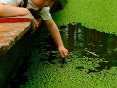 -渌洋湖湿地公园