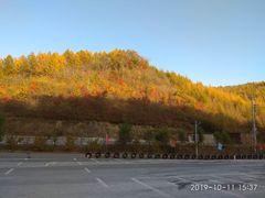-天女山森林公园